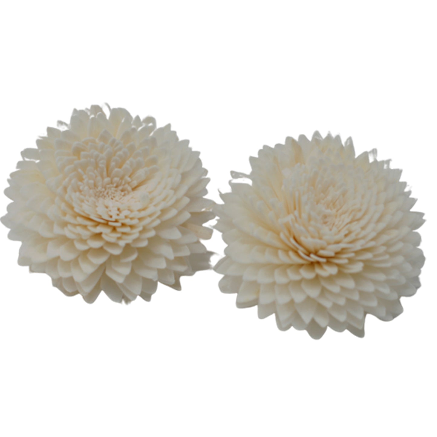 Natural Diffuser Flowers - Lrg Carnation on String