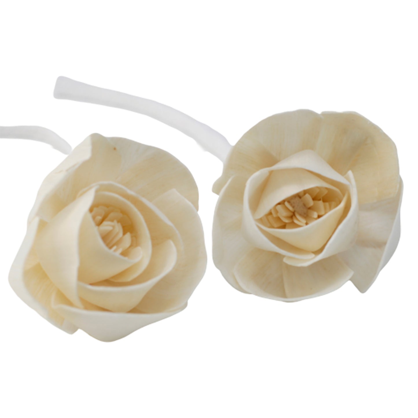 Natural Diffuser Flowers - Lrg Rose on String