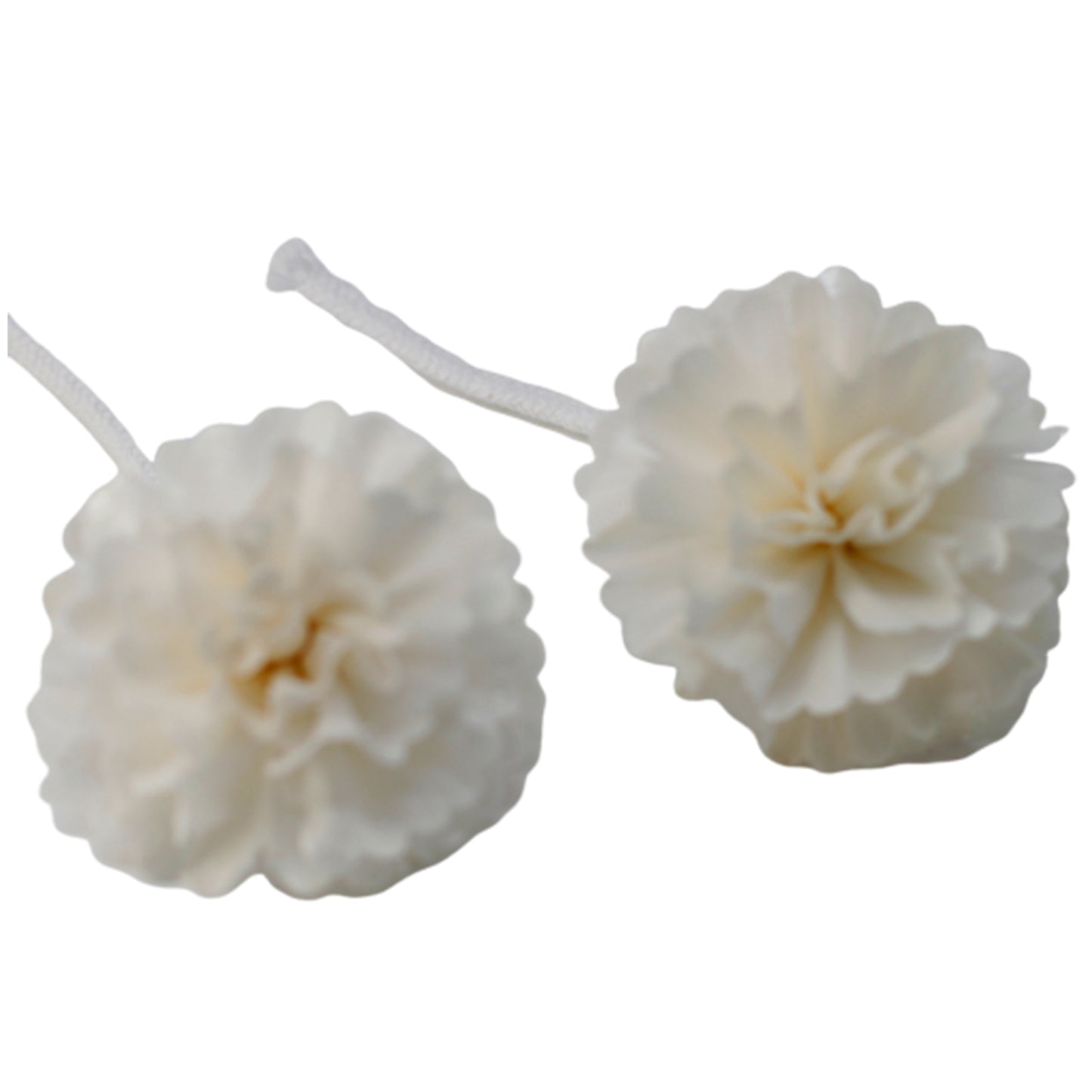 Natural Diffuser Flowers - Med Carnation on String