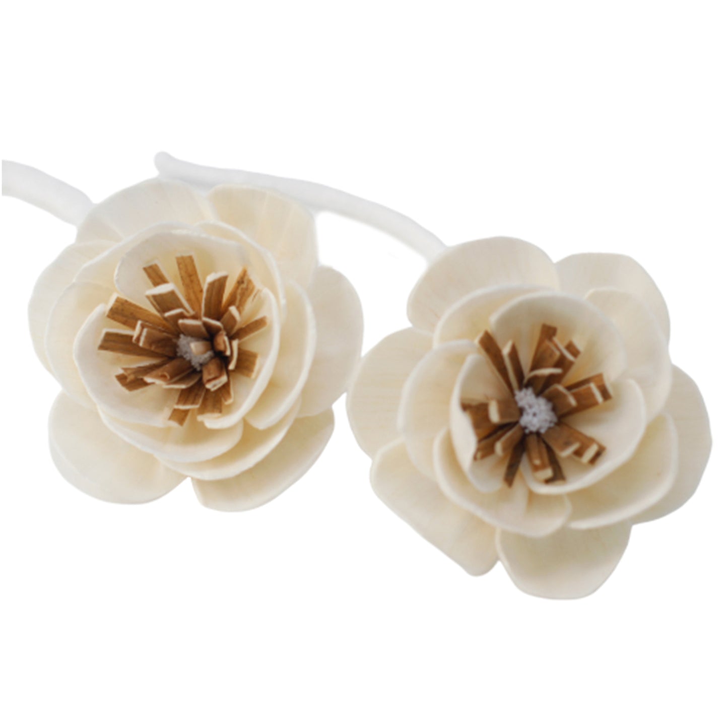 Natural Diffuser Flowers - Small Poppy on String