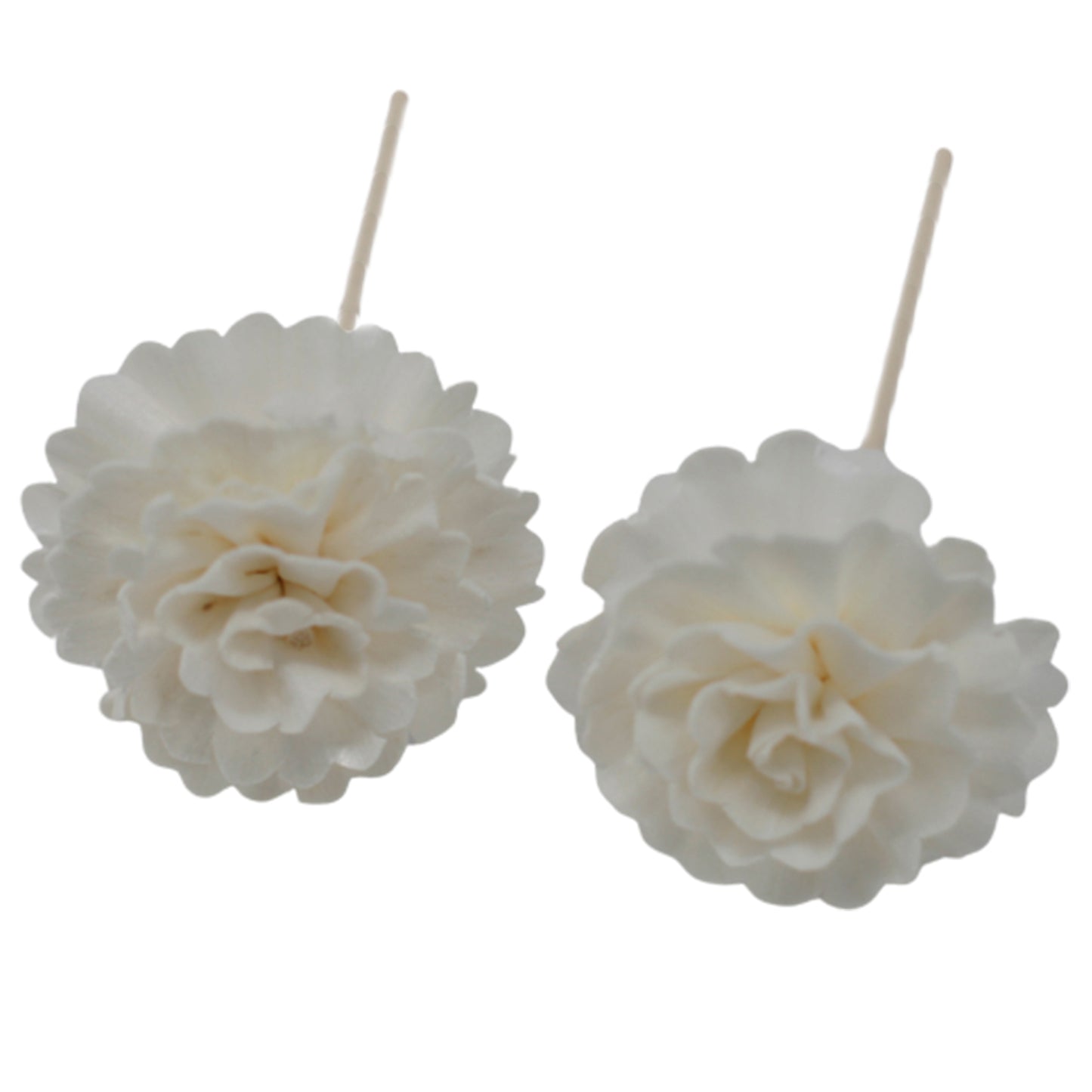 Natural Diffuser Flowers - Carnation on Reed
