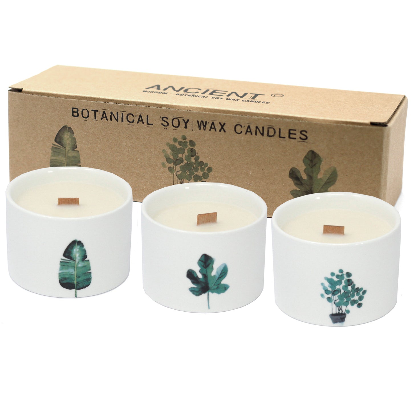 Medium Botanical Candles - Mulberry Harvest