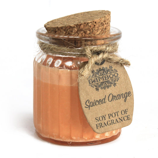 Spiced Orange Soy Pot of Fragrance Candles (Pair)