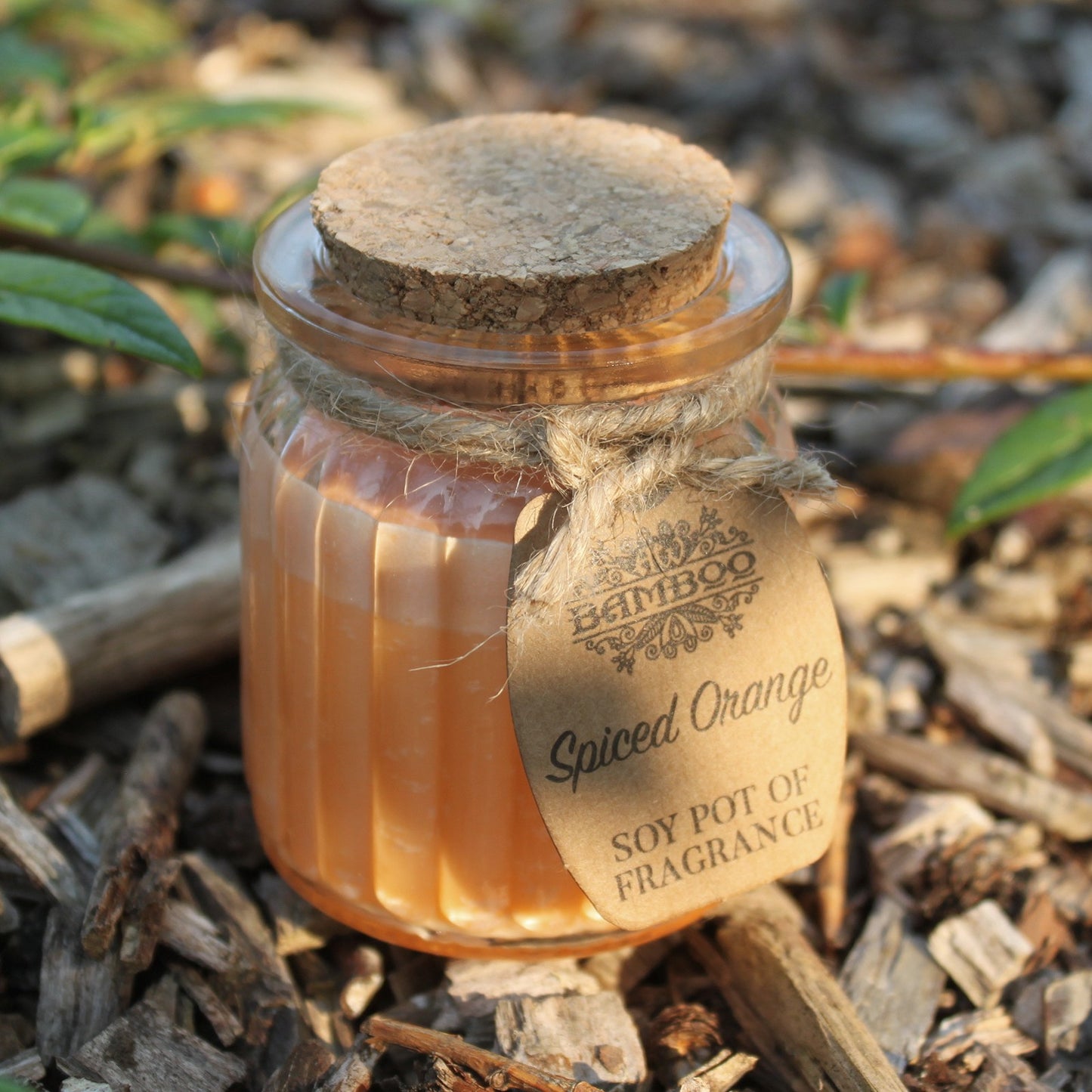 Spiced Orange Soy Pot of Fragrance Candles (Pair)